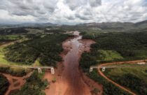 JPN vs SER Dream11 Japan vs Serbia Worldwide Pleasant Dwell Rating | Welcome to Serbia