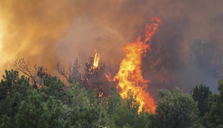 A single forest fire persists in Turkey’s Muğla almost two weeks on